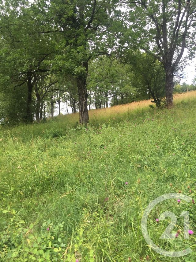 terrain à vendre - 5850.0 m2 - ST PROJET - 46 - MIDI-PYRENEES - Century 21 Lantoine Olivry Associés