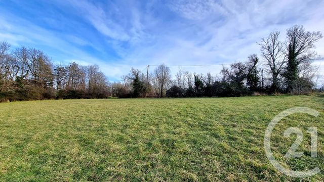 terrain à vendre - 4546.0 m2 - DAGLAN - 24 - AQUITAINE - Century 21 Lantoine Olivry Associés