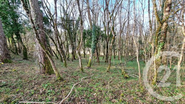 terrain à vendre - 4546.0 m2 - DAGLAN - 24 - AQUITAINE - Century 21 Lantoine Olivry Associés