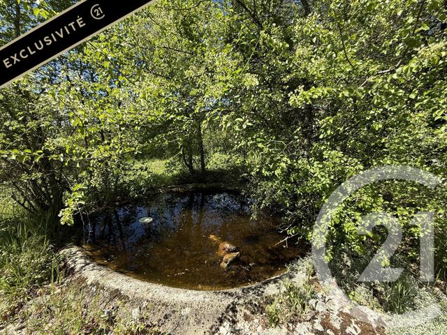 maison à vendre - 7 pièces - 155.0 m2 - ST PROJET - 46 - MIDI-PYRENEES - Century 21 Lantoine Olivry Associés