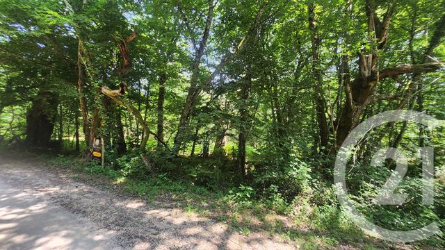 terrain à vendre - 4900.0 m2 - LE VIGAN EN QUERCY - 46 - MIDI-PYRENEES - Century 21 Lantoine Olivry Associés