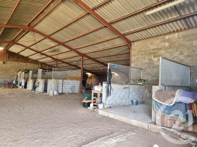 maison à vendre - 9 pièces - 205.0 m2 - ST MARTIAL DE NABIRAT - 24 - AQUITAINE - Century 21 Lantoine Olivry Associés