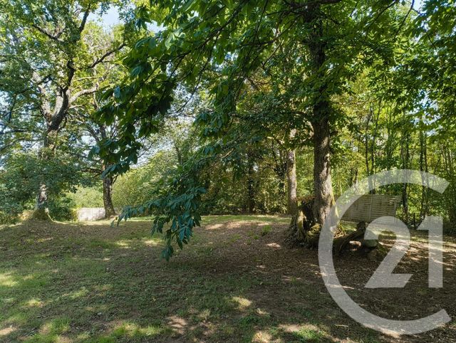 maison à vendre - 6 pièces - 145.15 m2 - LE VIGAN EN QUERCY - 46 - MIDI-PYRENEES - Century 21 Lantoine Olivry Associés