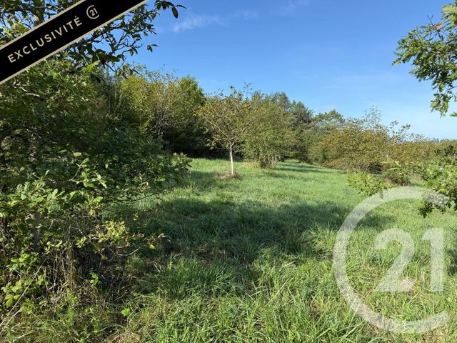terrain à vendre - 2971.0 m2 - LE VIGAN EN QUERCY - 46 - MIDI-PYRENEES - Century 21 Lantoine Olivry Associés