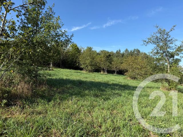 terrain à vendre - 2971.0 m2 - LE VIGAN EN QUERCY - 46 - MIDI-PYRENEES - Century 21 Lantoine Olivry Associés