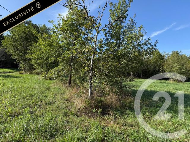 terrain à vendre - 2971.0 m2 - LE VIGAN EN QUERCY - 46 - MIDI-PYRENEES - Century 21 Lantoine Olivry Associés