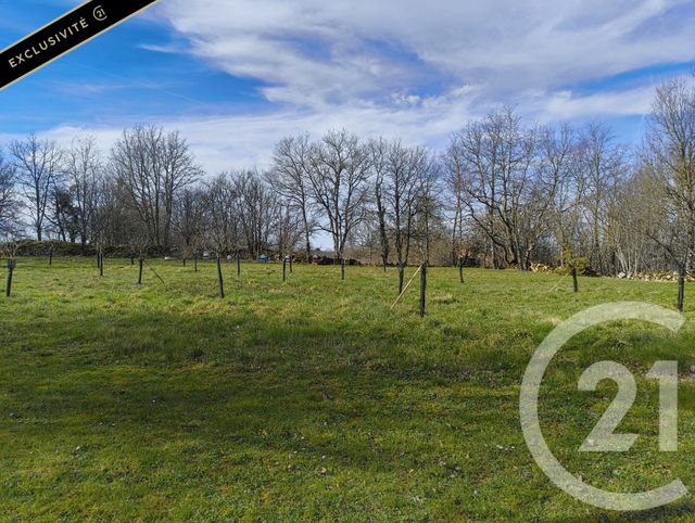 maison à vendre - 7 pièces - 219.0 m2 - SALVIAC - 46 - MIDI-PYRENEES - Century 21 Lantoine Olivry Associés