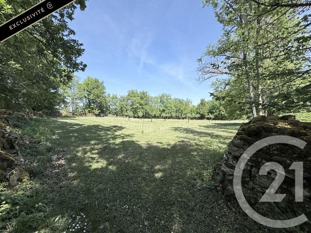 maison à vendre - 7 pièces - 219.0 m2 - SALVIAC - 46 - MIDI-PYRENEES - Century 21 Lantoine Olivry Associés