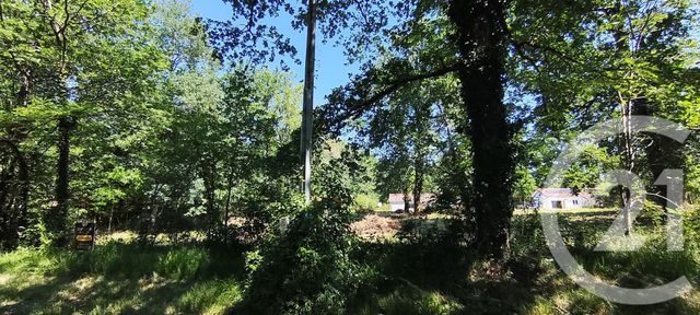 terrain à vendre - 1523.0 m2 - ANGLARS NOZAC - 46 - MIDI-PYRENEES - Century 21 Lantoine Olivry Associés