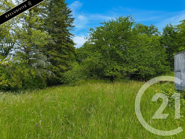 maison à vendre - 1 pièce - 146.67 m2 - SALVIAC - 46 - MIDI-PYRENEES - Century 21 Lantoine Olivry Associés
